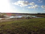 Salford Flood Basin Unveiled